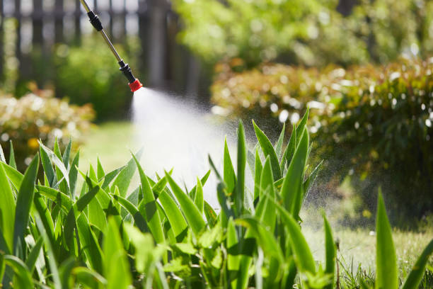 24/7 Emergency Ant Control experts in Denham Springs, LA