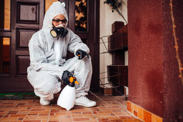 Reliable Ant Control contractor in Denham Springs, LA by Show Me Pest Control